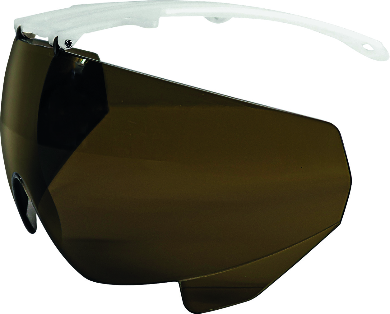 Schutzbrille zu ARTILUX Helm